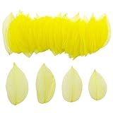 HAOBIN 50 Pezzi Foglie Di Scheletro Naturali Foglie Secche Scheletriche Foglie Essiccate Al Naturale Foglie Secche Miste Utilizzato per il mestiere di diy scrapbook craft card making (giallo)