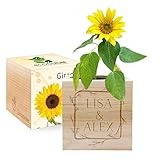 Amikado - EcoCube personalizzabile con incisione Cornice fiorita (Girasole), Kit per Far Crescere la Propria pianta, Idea Regalo (100% Ecologica)