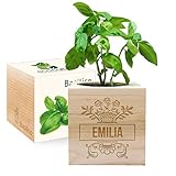 Angolo del Regalo - EcoCube personalizzabile con incisione Nome (Basilico), Kit per Far Crescere la Propria pianta, Idea Regalo (100% Ecologica)