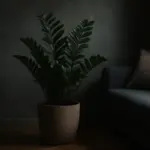 Qual è la pianta d’interni più resistente a luce scarsa? Una selezione perfetta per stanze poco illuminate