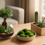 Microgiardini da tavolo: idee e vantaggi per chi vuole il verde anche negli spazi più ridotti